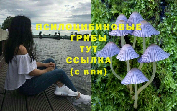 a pvp Абдулино